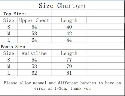 2pcs Women Seamless Yoga Set Sport Suit Gymwear