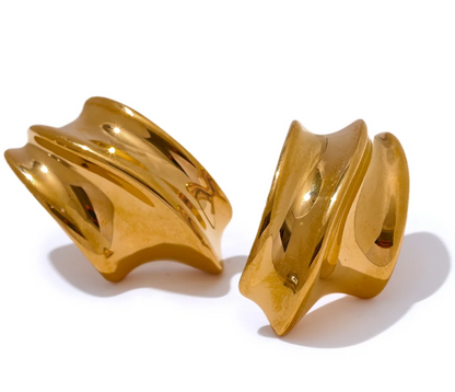 Stainless Steel  Earrings  Jewelry