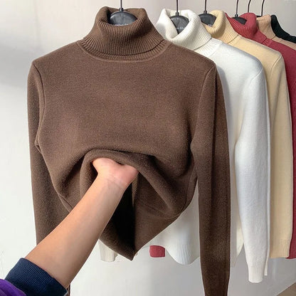 Turtleneck Winter Sweater 
 Velvet Lined Warm