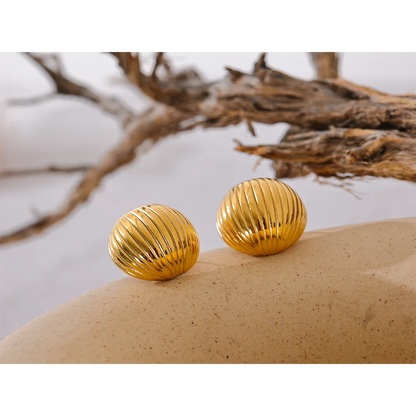 Stainless Steel Earrings 
 Plated Golden